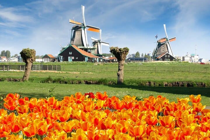 Keukenhof & Zaanse Schans Day Trip: Tulips, Windmills and Dutch Country Roads photo 2