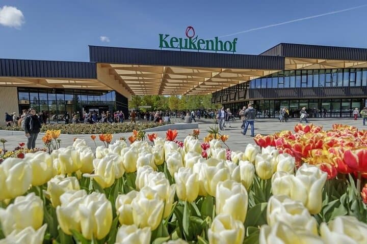 Keukenhof Gardens & Windmill Cruise: Day Trip from Amsterdam photo 2