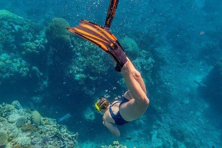 Full-Day Rosario Islands Snorkel & Beach Tour from Cartagena photo 3