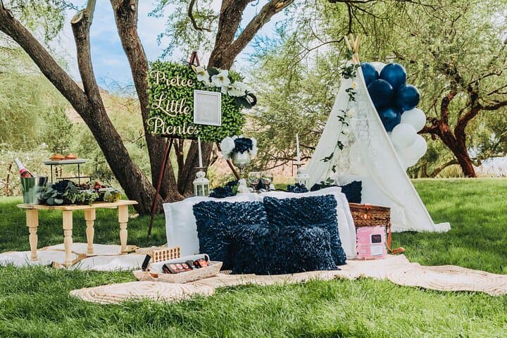 Luxury Picnic Experience at Exploration Peak Park — Private Themed Setups in Las Vegas photo 3