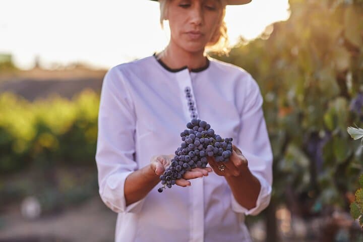 Walking Tour in Fallbrook, California