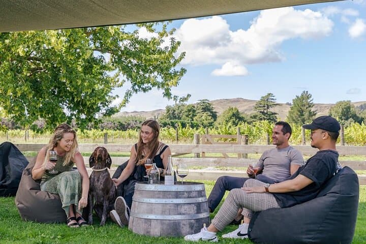 Helicopter Winery Drop-In: The Grape Vine Waipara Flights from Christchurch photo 3