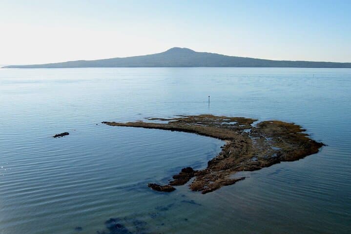 Auckland Coastal Discovery — West Coast Black Sand Beaches, Gannets & Vineyard Lunch photo 2