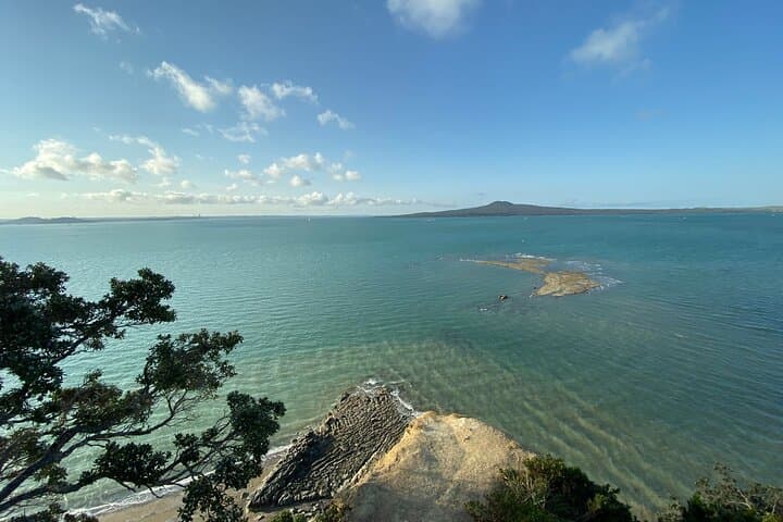 Auckland Coastal Discovery — West Coast Black Sand Beaches, Gannets & Vineyard Lunch