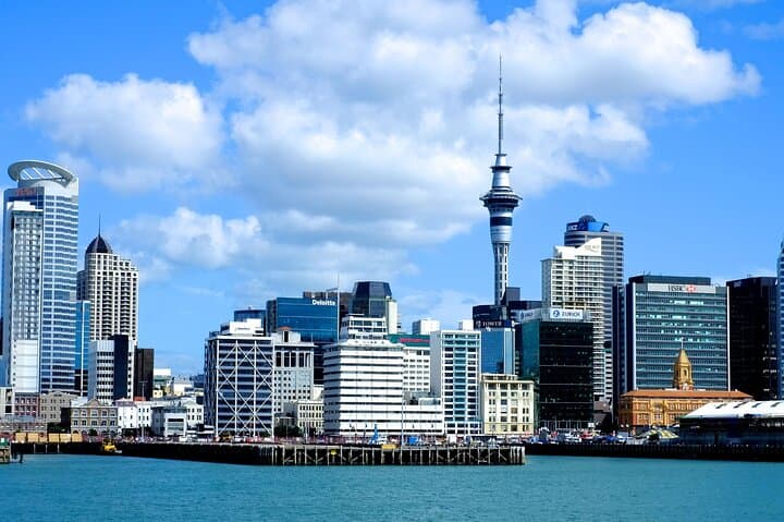 Auckland Coastal Discovery — West Coast Black Sand Beaches, Gannets & Vineyard Lunch photo 5