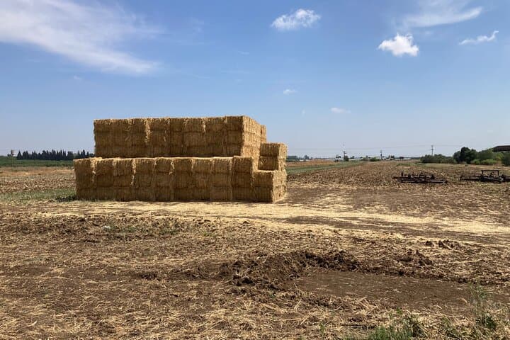 Inside Ein Shemer: A Half-Day Kibbutz Visit with Farm Lunch photo 6