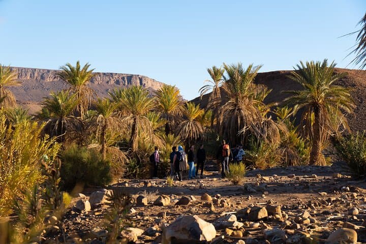 8-Day Sahara Trek from Marrakech to Erg Chegaga photo 4