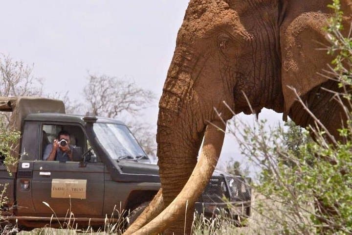 5-Day Private Safari: Tsavo East, Tsavo West & Amboseli from Nairobi photo 4