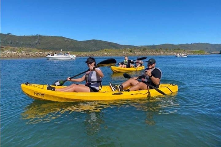 Paddling Knysna Lagoon: Kayak & SUP Hire from Thesen Island