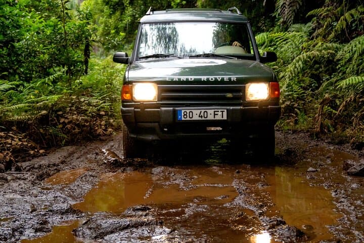 Unveil West Madeira: 4x4 Cliffs, Natural Pools & Fanal Forest Tour photo 4