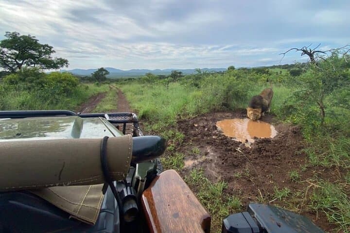 Big 5 Luxury Safari from Richards Bay to Manyoni Private Game Reserve