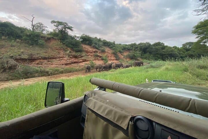 Big 5 Luxury Safari from Richards Bay to Manyoni Private Game Reserve photo 4