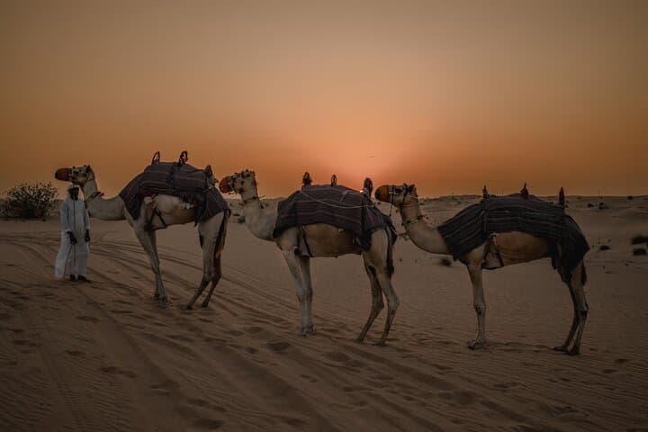 Private Dubai Desert Safari & ATV Self-Drive with Dinner Under the Stars