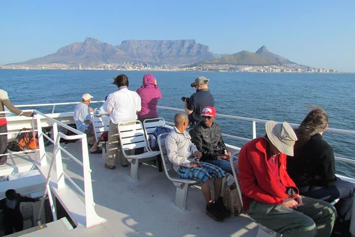 Cape Town Private Tour: Robben Island, Boulders Beach, Cape Point & Chapman's Peak