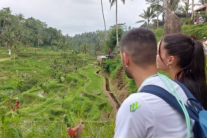 Full-Day Mount Batur & Ubud Tour — Monkey Forest, Rice Terraces, Tirta Empul & Spa