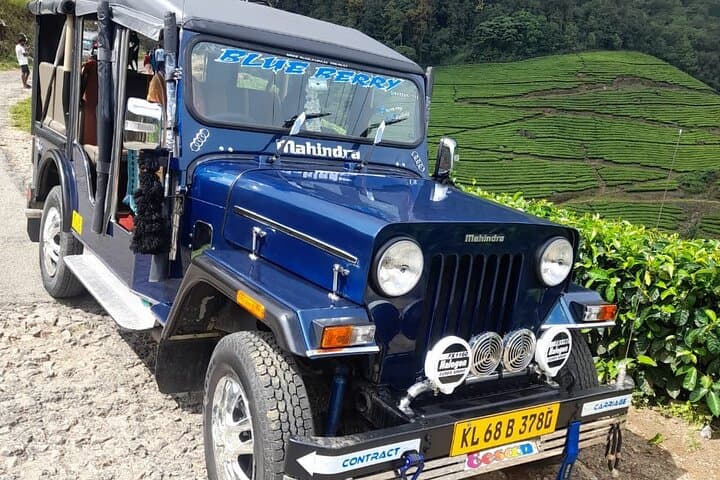 Top Station Day Tour: Munnar's Best Viewpoints, Boating & Tea Estates photo 3