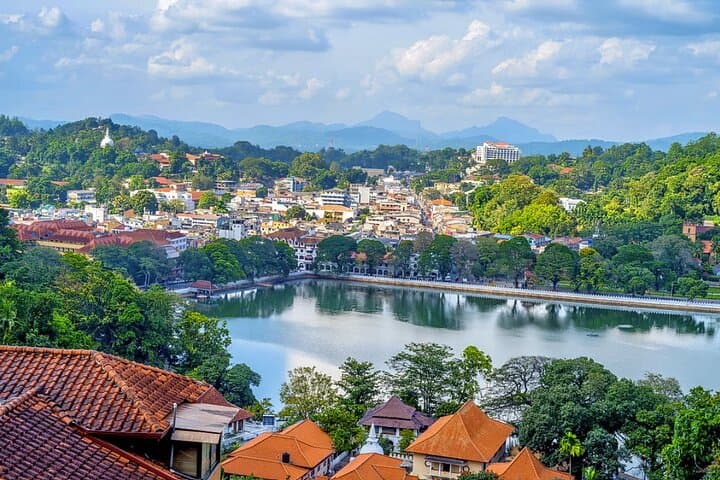 3-Day Sigiriya, Dambulla & Kandy Private Tour — Sigiriya Rock, Cave Temples, Safari and Tea Country photo 6