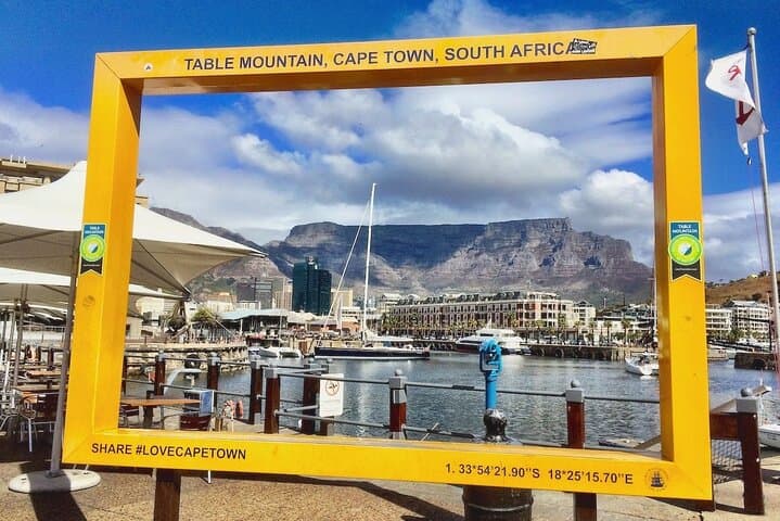 Cape Peninsula Full-Day: Penguins, Cape Point & Table Mountain Cable Car photo 4