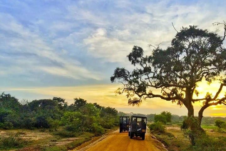 Yala Private Jeep Safari from Colombo and Negombo — Day Trip to Spot Leopards photo 1