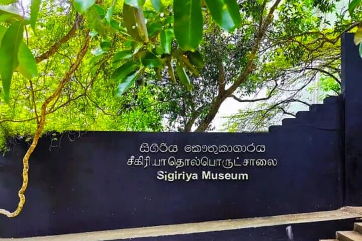 Sigiriya and Kaudulla Day Trip from Pasikuda – Sigiriya Rock & Elephant Safari photo 2