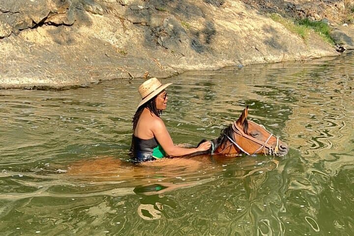 Puerto Vallarta River Ride: Horseback Swimming & Tequila Tasting with Unlimited Margaritas photo 2