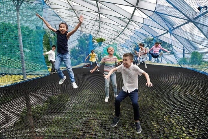 Jewel Changi Sky Nets & Canopy Park — Walking Net, Bouncing Net and the Rain Vortex Experience