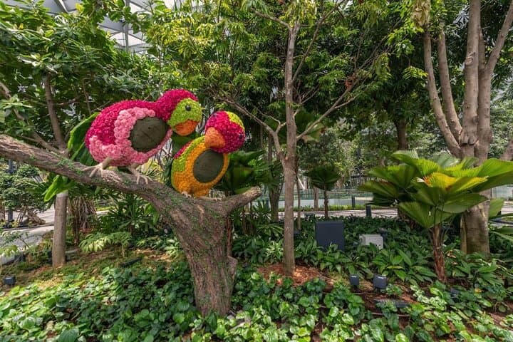 Jewel Changi Sky Nets & Canopy Park — Walking Net, Bouncing Net and the Rain Vortex Experience photo 3