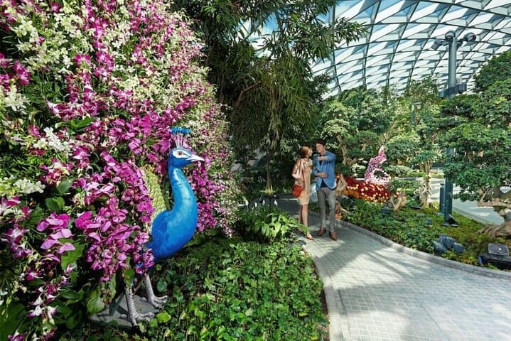Jewel Changi Sky Nets & Canopy Park — Walking Net, Bouncing Net and the Rain Vortex Experience photo 5