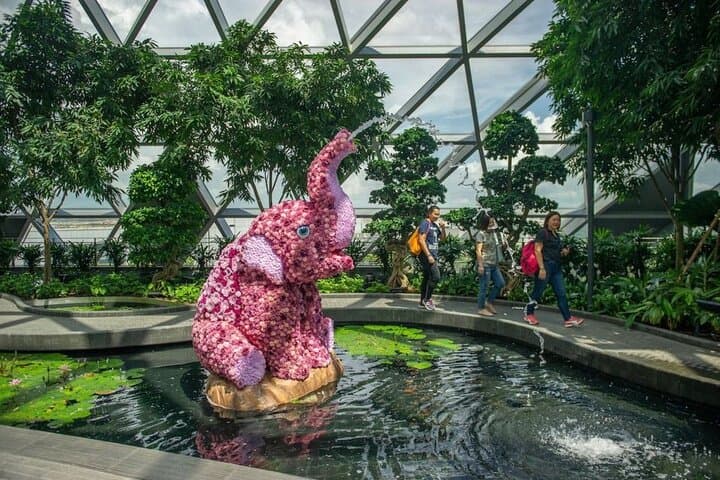 Jewel Changi Sky Nets & Canopy Park — Walking Net, Bouncing Net and the Rain Vortex Experience photo 6