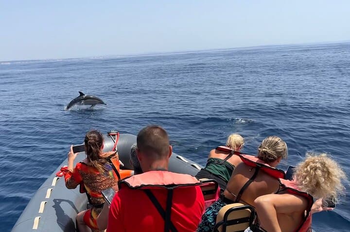 Benagil Caves & Dolphin Search: 3‑Hour Biologist-Led Boat Tour from Lagoa