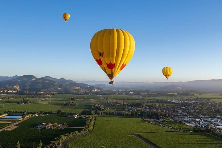 Above the Vines