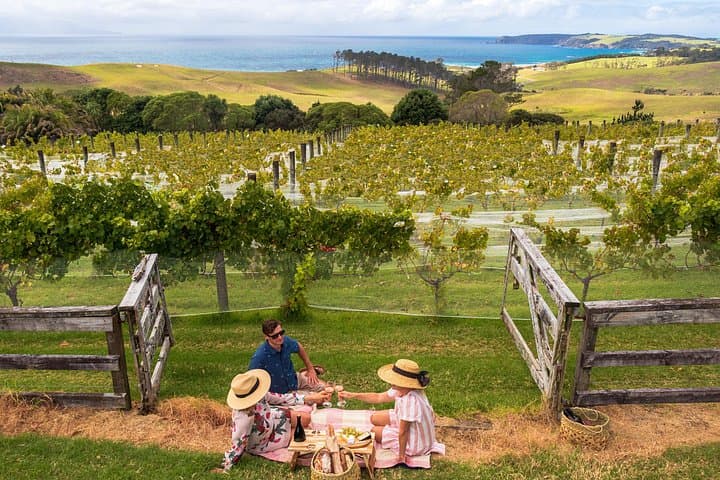 Gourmet Mystery Picnic Matakana: Self-Guided Foodie Scavenger Hunt