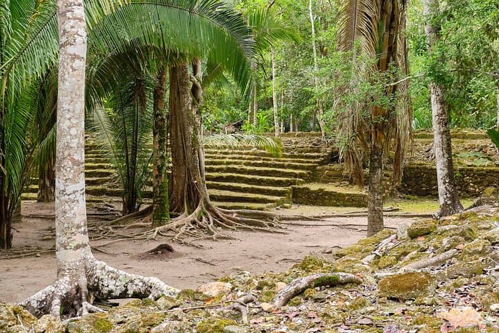 Chacchoben Mayan Ruins & Authentic Village Experience from Costa Maya photo 3