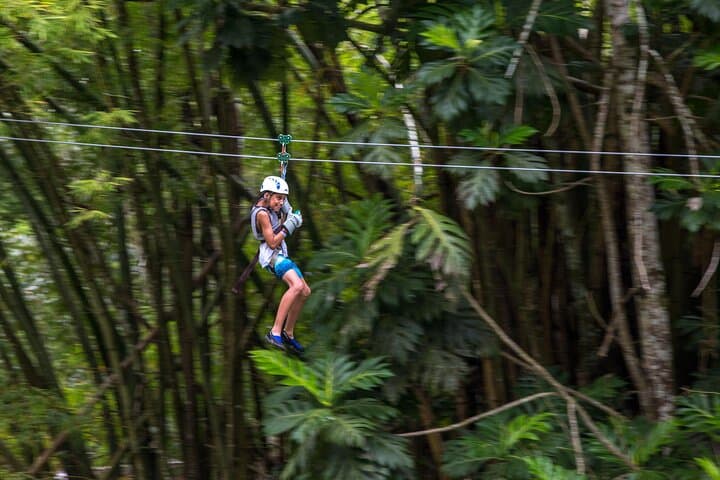 White River Zipline and Blue Hole Adventure in Ocho Rios