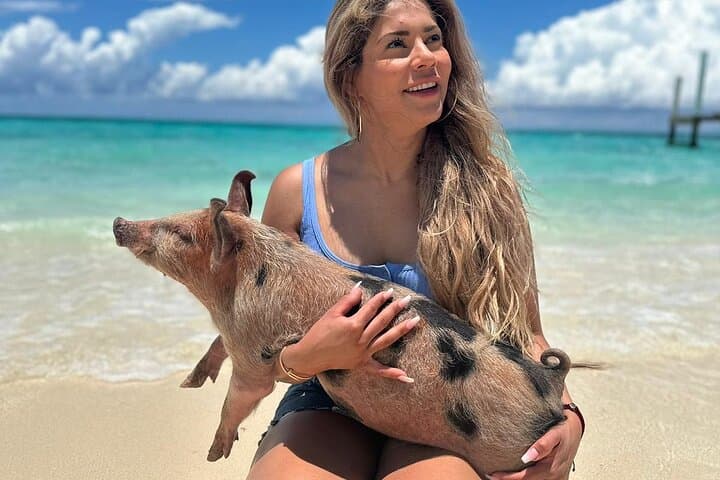 Nassau Day Trip: Swimming Pigs, Snorkeling with Turtles & Island Hopping