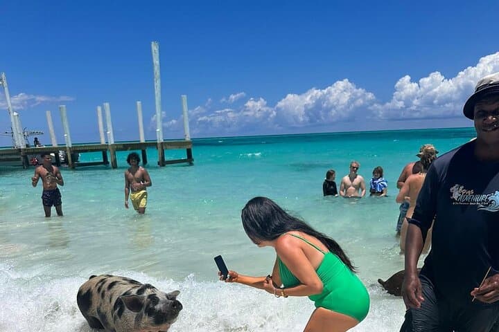 Nassau Day Trip: Swimming Pigs, Snorkeling with Turtles & Island Hopping photo 2