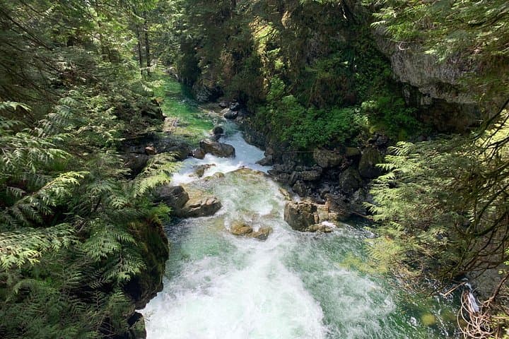 Hike and Bike the Vancouver Forests: Lynn Canyon & Seymour Day Trip