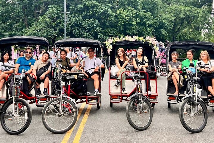 Central Park Pedicab Tour: Private Guided Ride from 59th Street photo 2