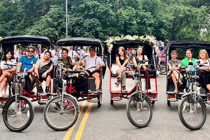 Central Park Pedicab Tour from 59th Street — Private Guided Ride Through NYC's Iconic Park photo 2