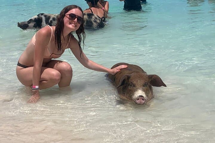 Nassau Half-Day Snorkel: Turtles, Coral Reefs & Swimming Pigs