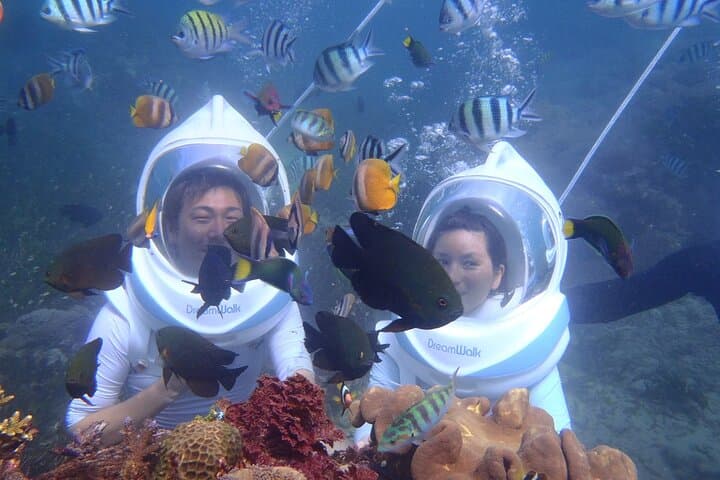 Nusa Dua Underwater Sea Walk: Guided Helmet Dive Experience in Bali photo 5