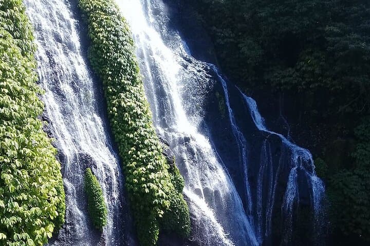Bali Highlands Day Tour: Banyumala & Gitgit Waterfalls, Ulun Danu Beratan and Jatiluwih photo 6