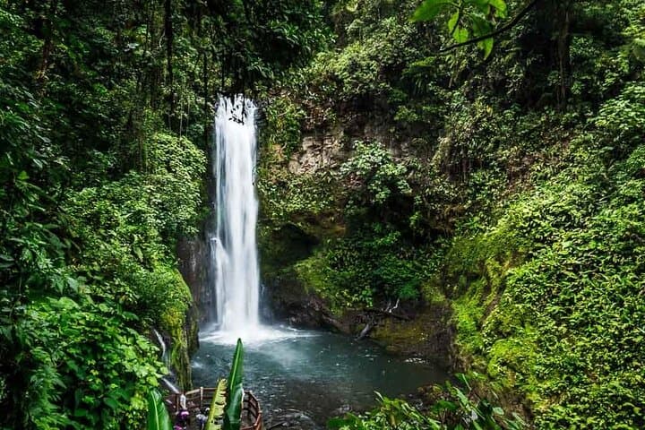 La Paz Waterfall Gardens: Full-Day Waterfalls & Wildlife Tour from San José photo 1