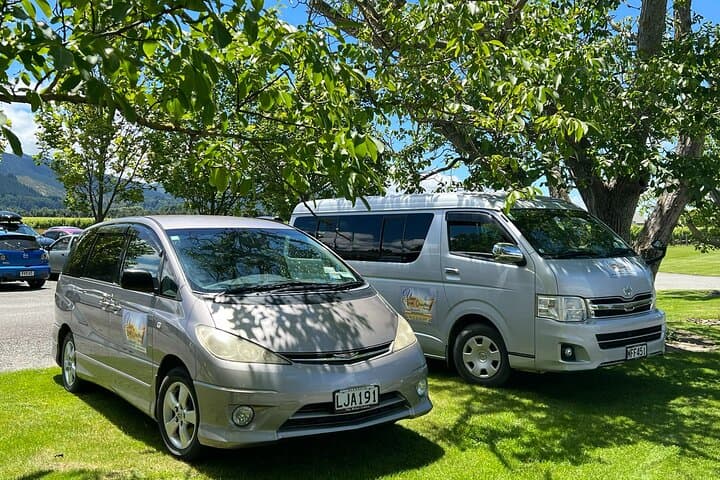 Private Transfers from Blenheim or Picton to Kaikoura — Scenic Chauffeur Tours & Wildlife Stops