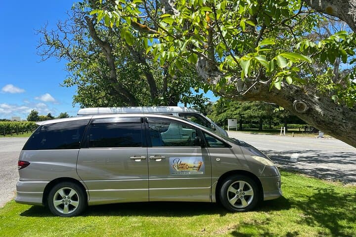 Private Transfers from Blenheim or Picton to Kaikoura — Scenic Chauffeur Tours & Wildlife Stops photo 5