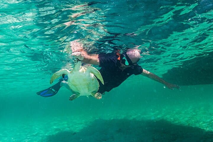 Exuma Day Cruise: Turtle Encounters, Sandbars & Stocking Island Beaches photo 5