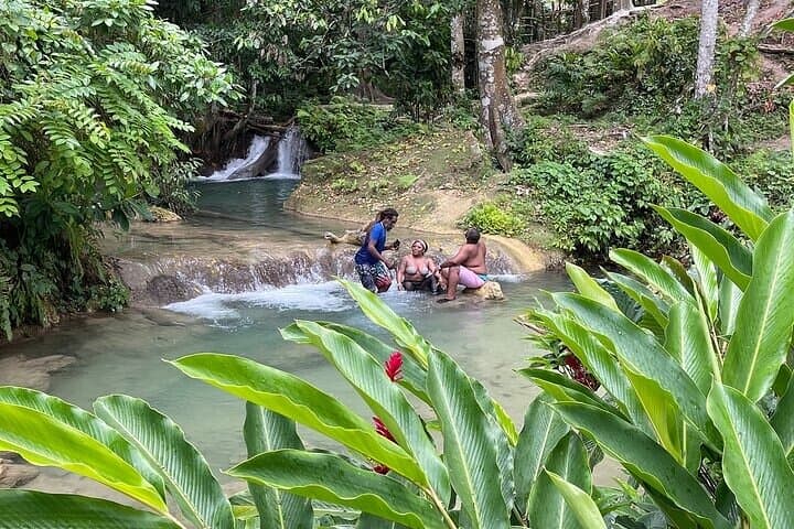 Benta River & Falls Private Tour — Eco-Friendly Waterfall Adventure from Montego Bay or Negril photo 4