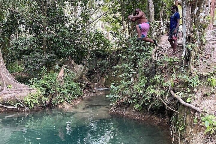 Benta River & Falls Private Tour — Eco-Friendly Waterfall Adventure from Montego Bay or Negril photo 5