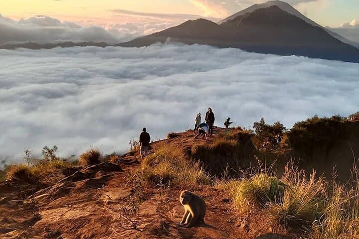 Sunrise Summit: Mount Batur Hike and Terraced Paddy Field Visit