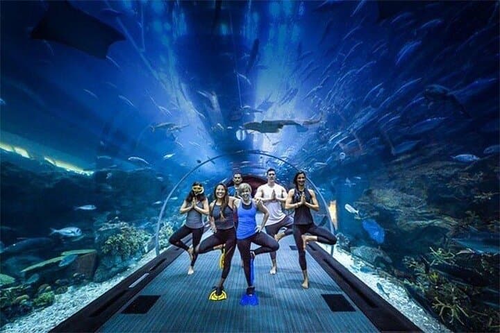 Dubai Aquarium & Underwater Zoo Admission Guide: What to Expect photo 2